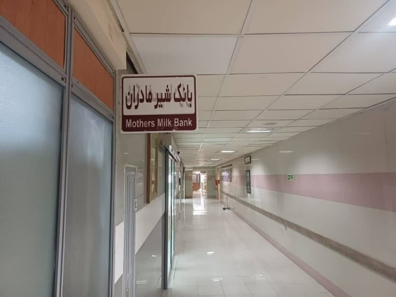 رکوردشکنی بانک شیر شیراز؛ اهدای ۵۰۳ لیتر شیر در یک سال و نجات صدها نوزاد نارس