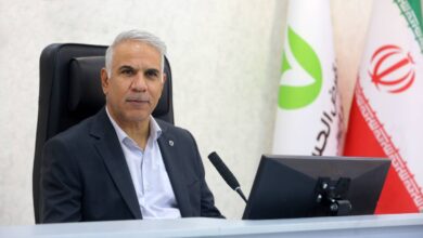 بهزاد شمس الدینیبانک مهر ایران فارس