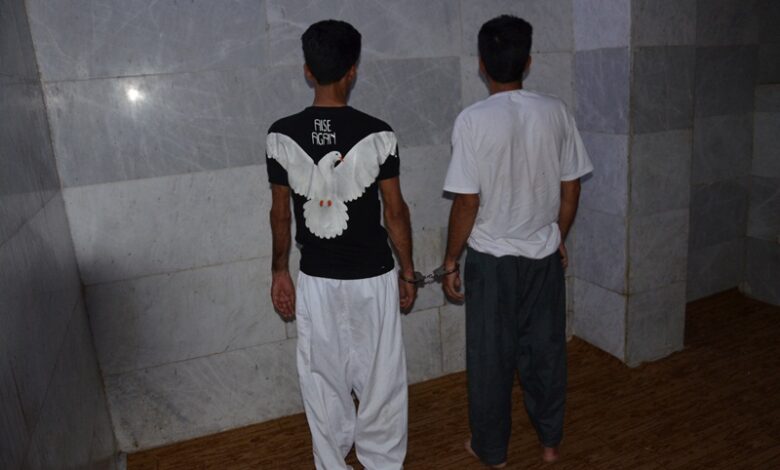 سارقان فیروزآباد