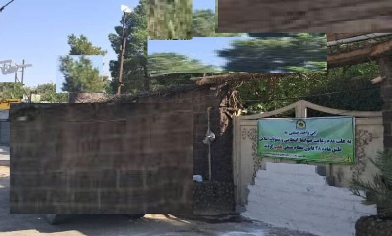 عکس پلمپ باغ