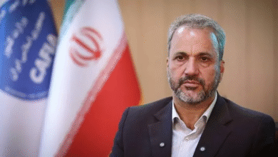نادر یاراحمدی رییس مرکز امور اتباع و مهاجرین خارجی وزارت کشور