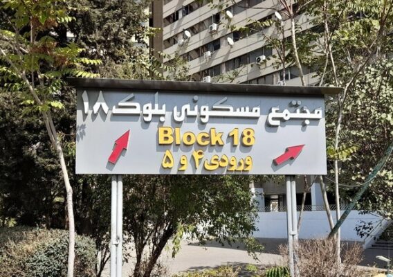 کشف جسد 2