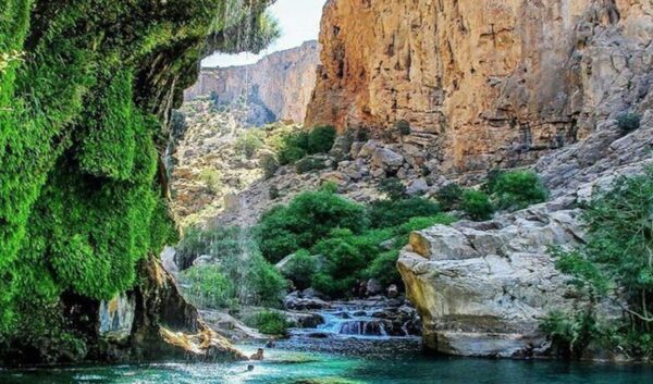سفر به شیراز در تابستان