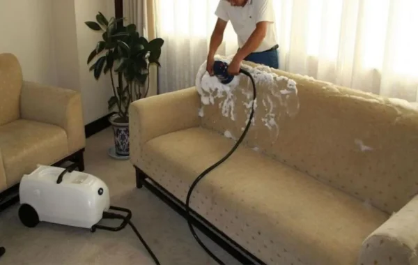 The Ultimate Guide to DIY Sofa Cleaning 3