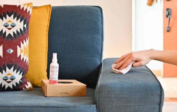 The Ultimate Guide to DIY Sofa Cleaning 6