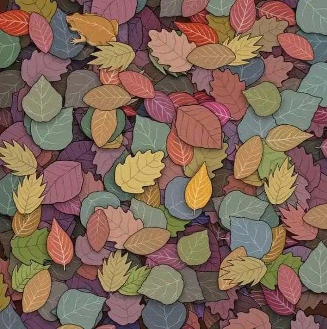 find hidden frog optical illusion 2