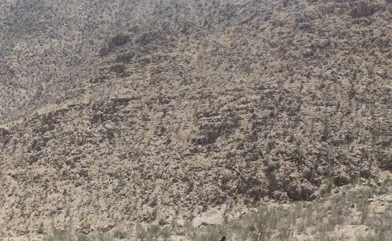 photo 2025 09 05 17 19 41