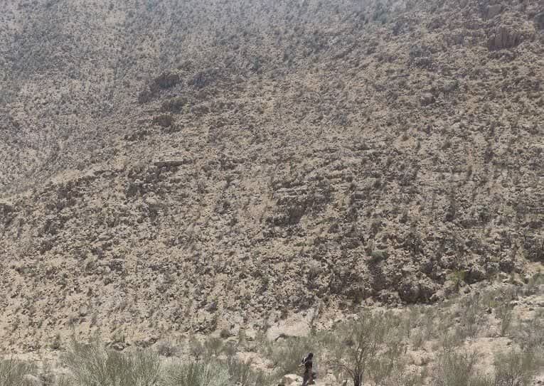 پایان تلخ دو روز جست‌وجو در ارتفاعات داراب؛ پیکر مرد مفقودی پیدا شد