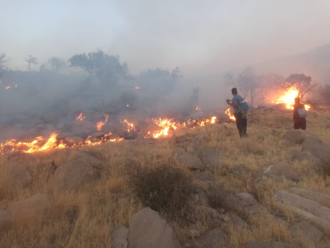 آتش‌سوزی گسترده در گردنه چاهو مرودشت؛ درخواست فوری برای اعزام بالگرد