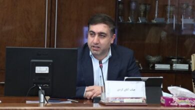 آرش کردی