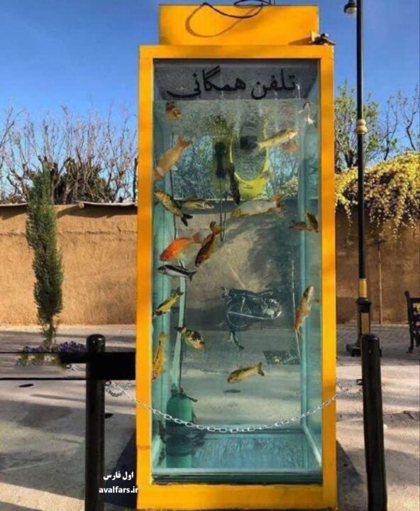 آکواریومشیراز