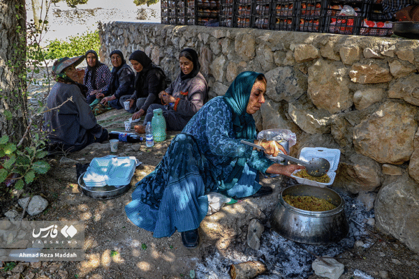 انار کهمره سرخی 3