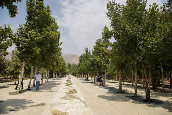 باغ بش 11