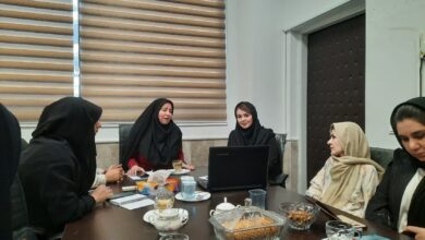 بانوان کارآفرین فارس