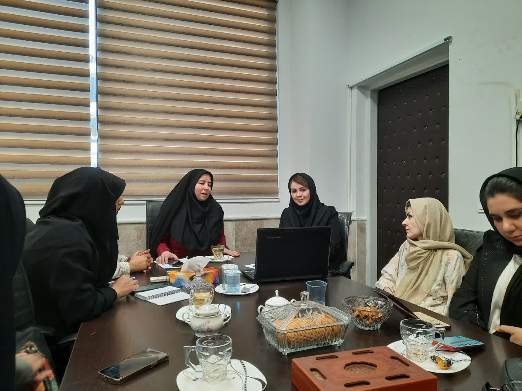 نشست آنلاین بانوان کارآفرین فارس با رایزن اقتصادی ایران در امارات