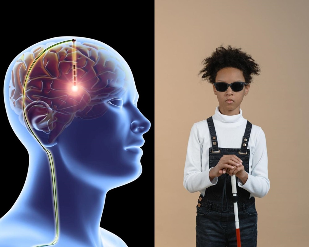 ایلان ماسک وعده بازگرداندن بینایی نابینایان تا سال ۲۰۲۶ را داد