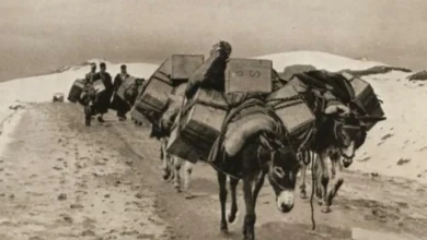 حمل بار