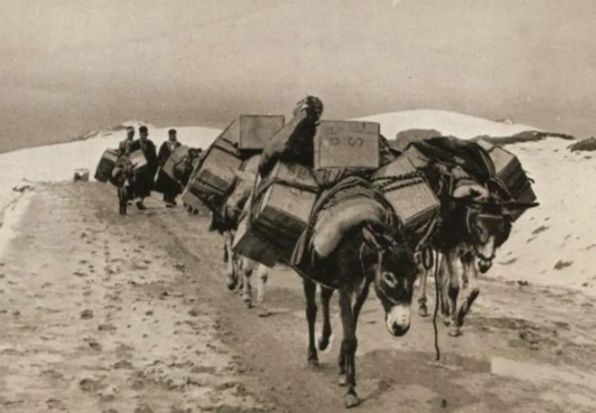 نرخ کرایه بار و مسافر بین شیراز،کازرون و بوشهر ۱۰۰ سال پیش(+سند)