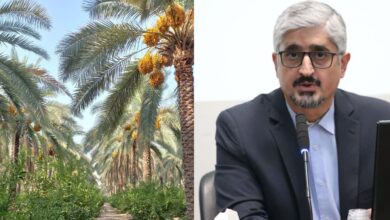 خرمافارس 1