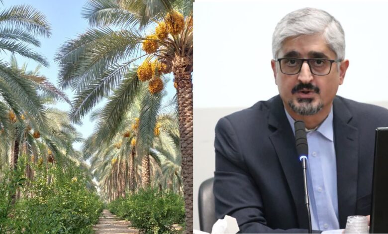 خرمافارس 1
