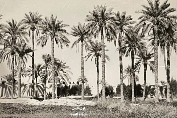 عکس قدیمیلارستان