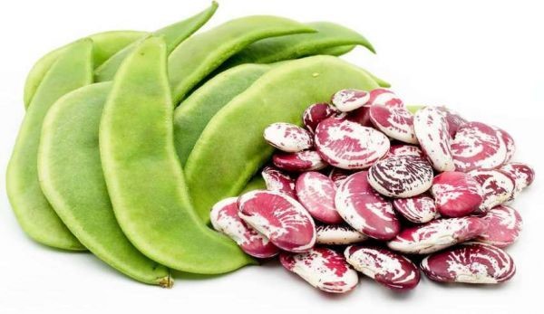 غذا با لوبیا عروس 3