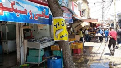 مرغ و ماهی