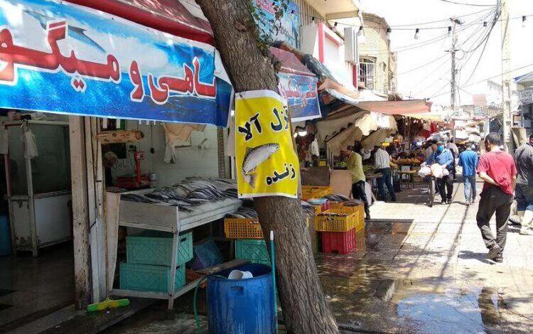مرغ و ماهی