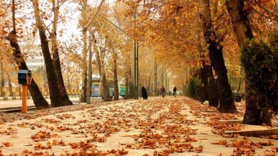 هوای سردبارانیپاییز