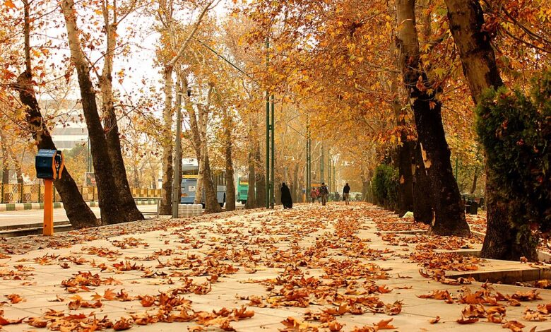 هوای سردبارانیپاییز