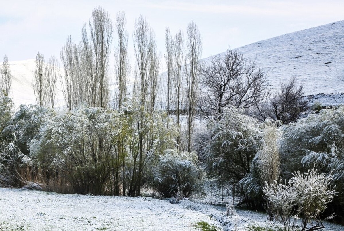 هشدار سطح زرد هواشناسی برای کاهش محسوس دمای هوا در استان فارس