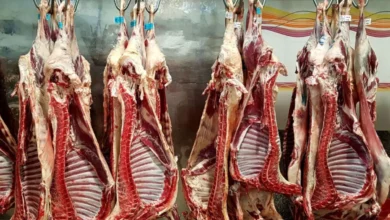 گوشت کنیایی