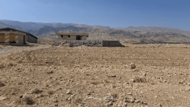 124109507a5647fdb90519502230abd0