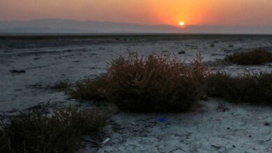 Maharloo Lake Shiraz 0