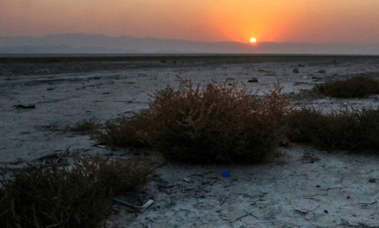Maharloo Lake Shiraz 0