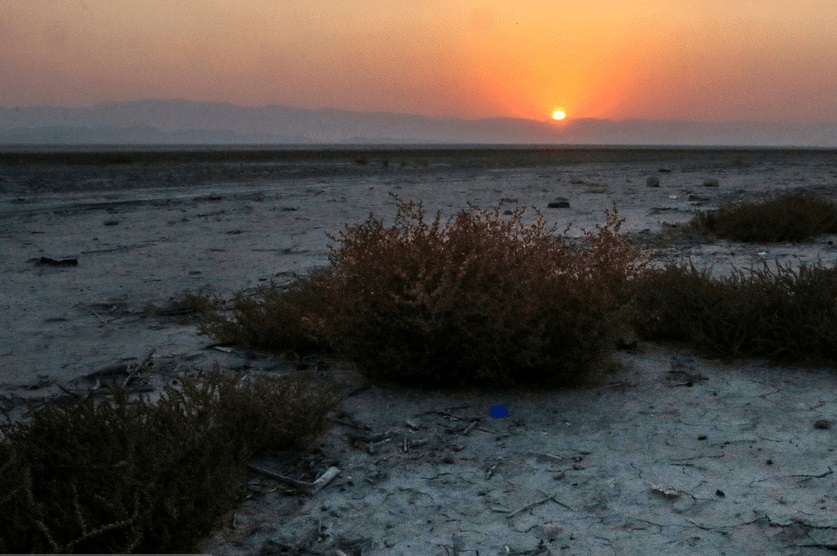 تصاویری تکان‌دهنده از نابودی اکوسیستم دریاچه مهارلو شیراز