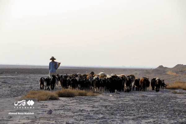 Maharloo Lake Shiraz 4