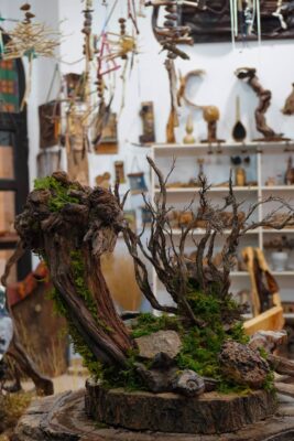 Photos of Sepideh Sadeghi 20 1