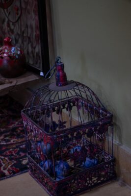 Photos of Yasman Sharifi 13