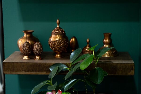 Photos of Yasman Sharifi 18 1