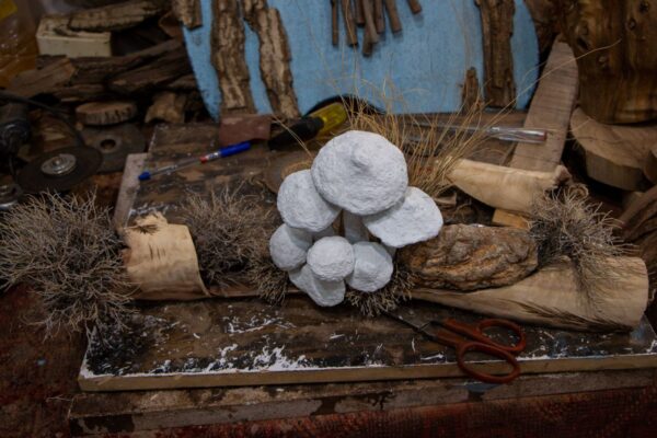 Photos of Yasman Sharifi 31 1