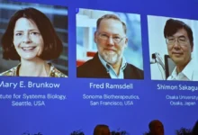 Nobel Prize in Medicine 2025