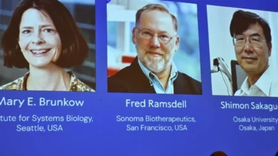 Nobel Prize in Medicine 2025