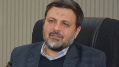 امیر رئوف