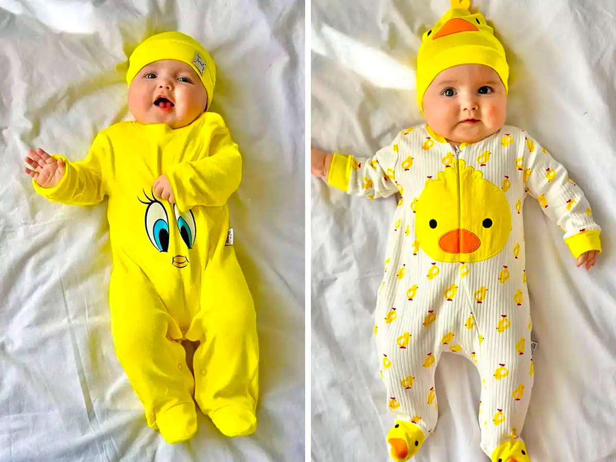 حذف مراجعات حضوری در فارس: صدور شناسنامه نوزاد، گواهی ولادت و نامگذاری به صورت تمام‌الکترونیک