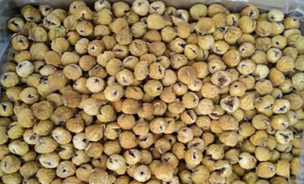 ۱۰ واحد صنفی خرید و فروش انجیر در استهبان پلمب شد