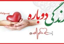 اهدای عضو