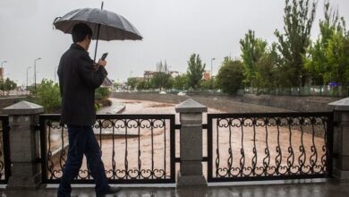 بارش باران