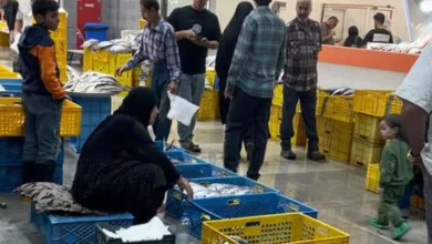 بوی نارضایتی در بازار پروتئین شیراز؛ چالشهای تهویه و سروصدا یک ماه پس از تعطیلی دروازه کازرون و انتقال کسبه 2 بازار پروتئین