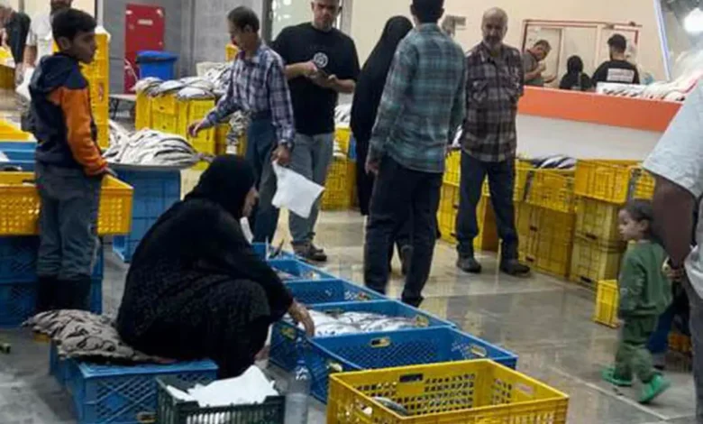 بوی نارضایتی در بازار پروتئین شیراز؛ چالشهای تهویه و سروصدا یک ماه پس از تعطیلی دروازه کازرون و انتقال کسبه 1 بازار پروتئین